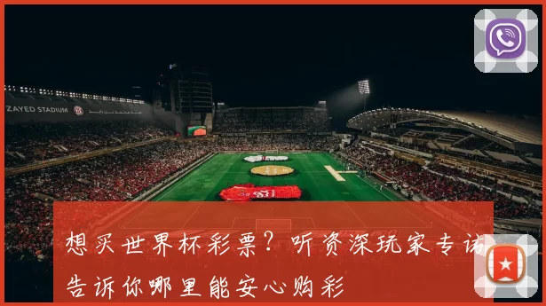 想买世界杯彩票?听资深玩家专访告诉你哪里能安心购彩