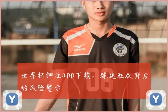 世界杯押注app下载,球迷狂欢背后的风险警示