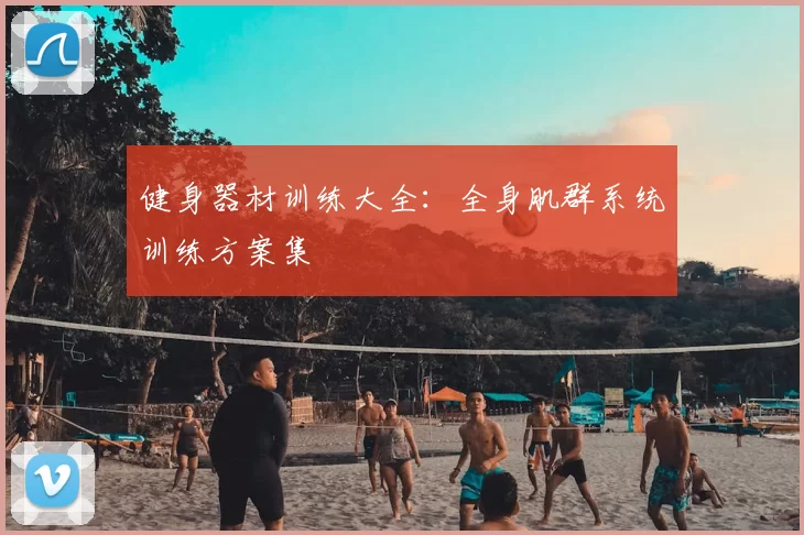健身器材训练大全:全身肌群系统训练方案集