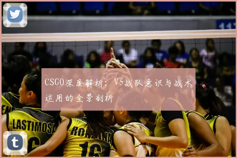 CSGO深度解析:V5战队意识与战术运用的全景剖析