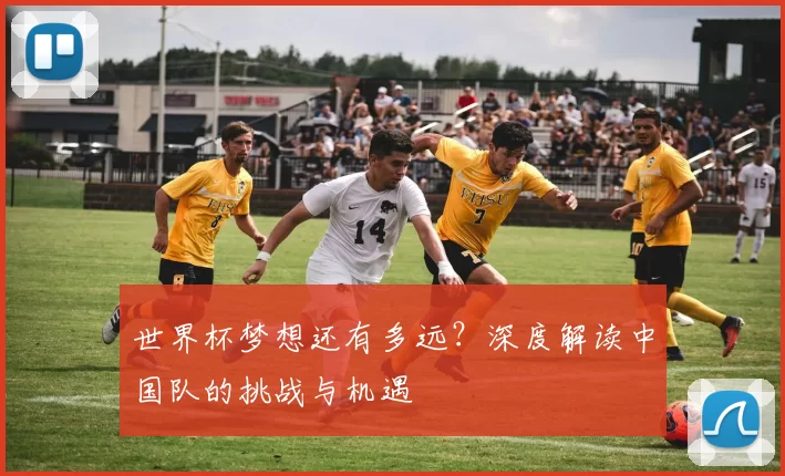 世界杯梦想还有多远?深度解读中国队的挑战与机遇