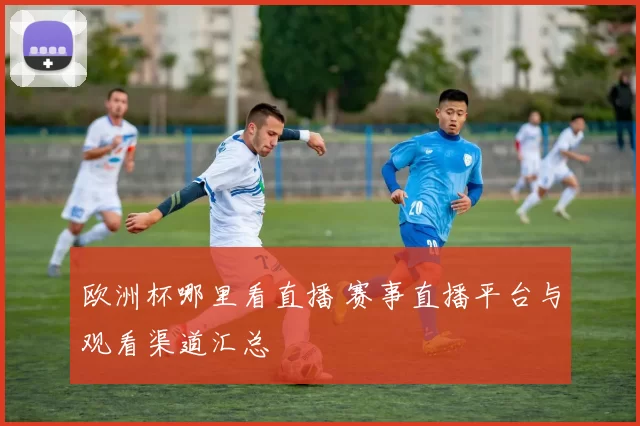 欧洲杯哪里看直播 赛事直播平台与观看渠道汇总
