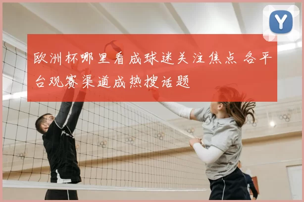 欧洲杯哪里看成球迷关注焦点 各平台观赛渠道成热搜话题