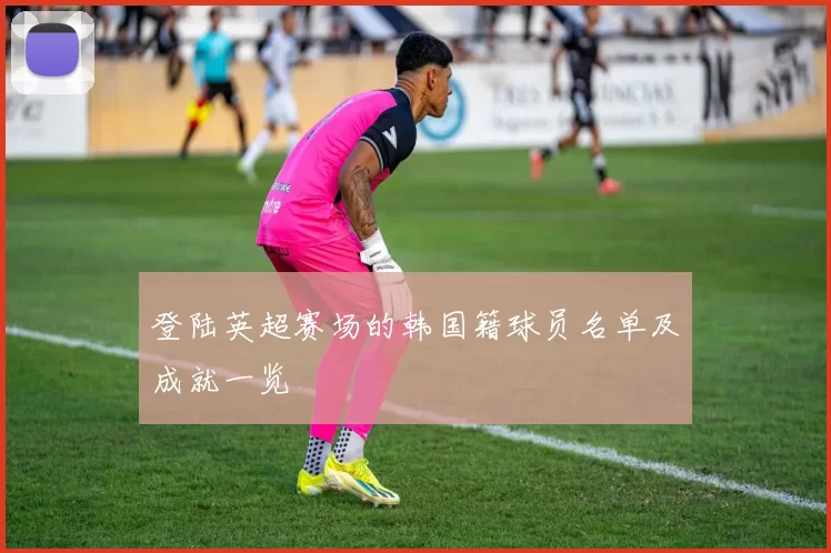 登陆英超赛场的韩国籍球员名单及成就一览
