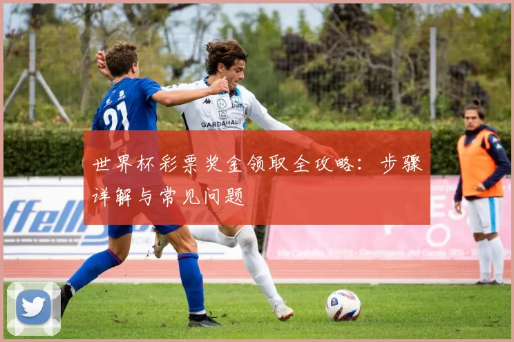 世界杯彩票奖金领取全攻略：步骤详解与常见问题