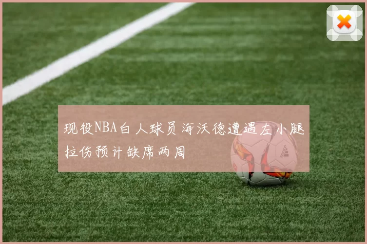 现役NBA白人球员海沃德遭遇左小腿拉伤预计缺席两周