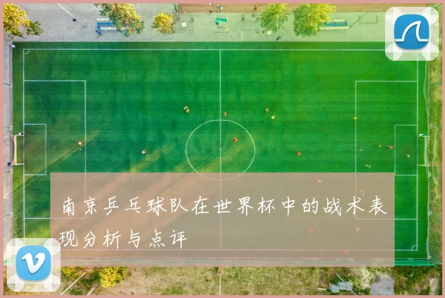 南京乒乓球队在世界杯中的战术表现分析与点评