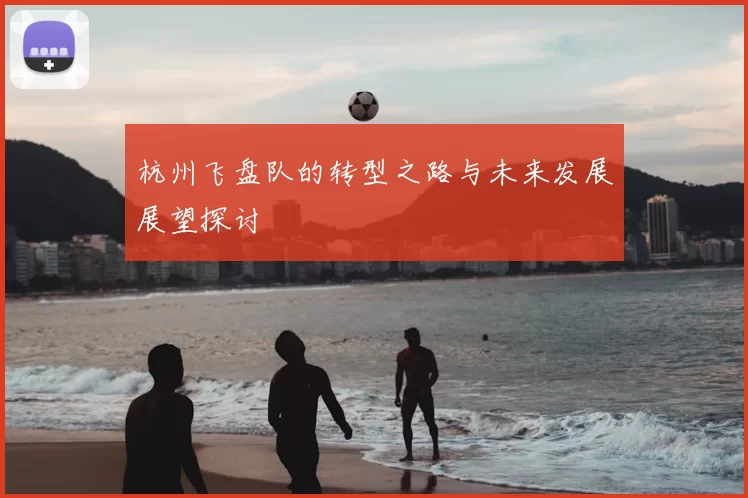 杭州飞盘队的转型之路与未来发展展望探讨