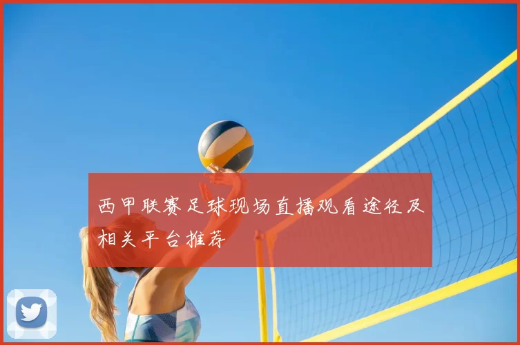 西甲联赛足球现场直播观看途径及相关平台推荐