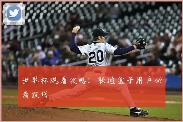 世界杯观看攻略:联通盒子用户必看技巧