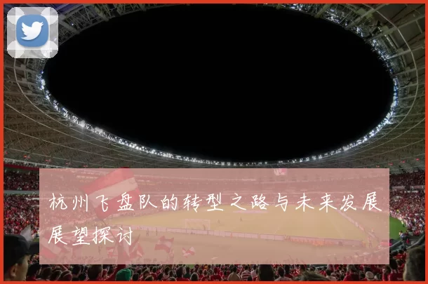 杭州飞盘队的转型之路与未来发展展望探讨