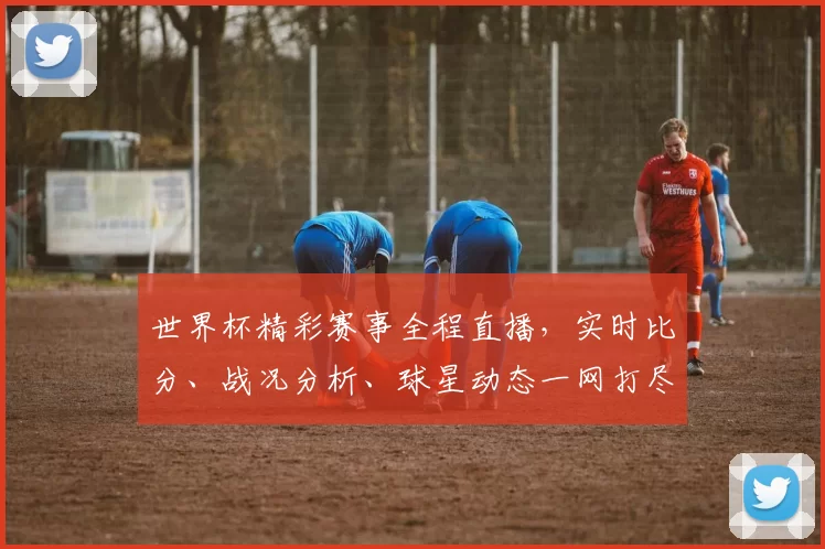 世界杯精彩赛事全程直播,实时比分、战况分析、球星动态一网打尽