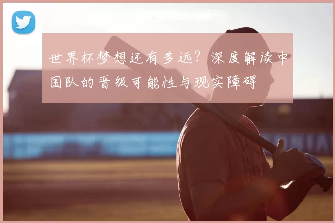 世界杯梦想还有多远?深度解读中国队的晋级可能性与现实障碍