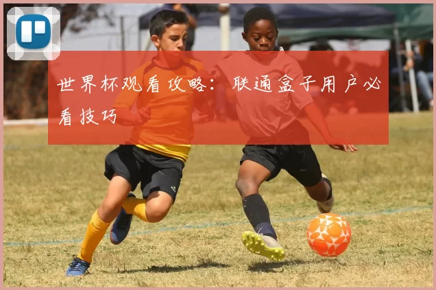 世界杯观看攻略:联通盒子用户必看技巧