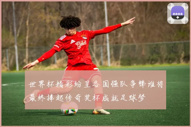 世界杯精彩纷呈各国强队争锋谁将最终捧起传奇奖杯成就足球梦