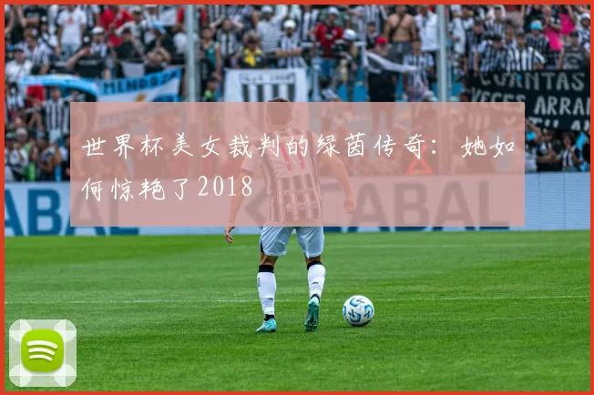 世界杯美女裁判的绿茵传奇:她如何惊艳了2018