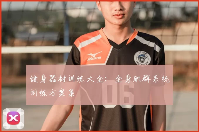 健身器材训练大全:全身肌群系统训练方案集