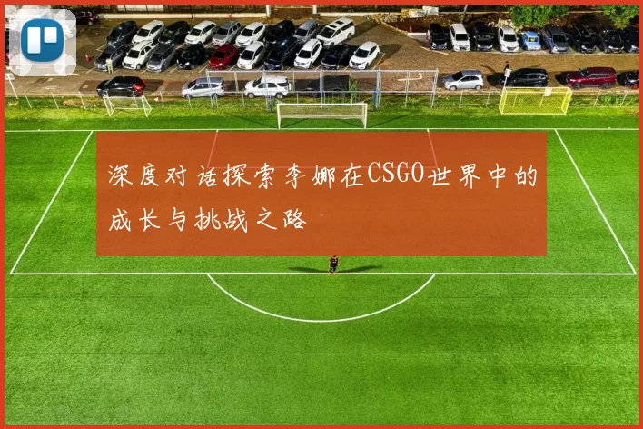 深度对话探索李娜在CSGO世界中的成长与挑战之路