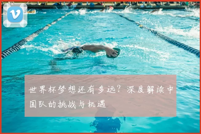 世界杯梦想还有多远?深度解读中国队的挑战与机遇