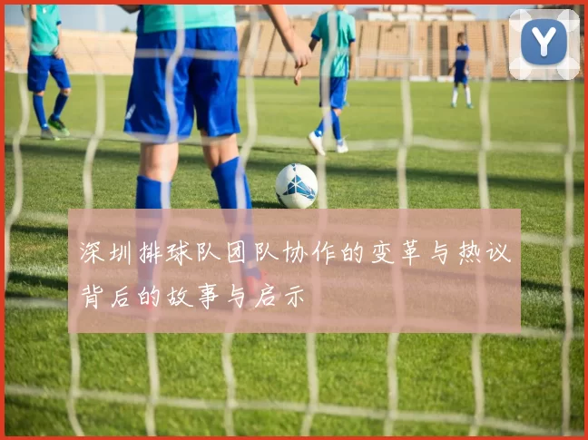深圳排球队团队协作的变革与热议背后的故事与启示