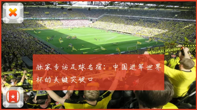 独家专访足球名宿:中国进军世界杯的关键突破口