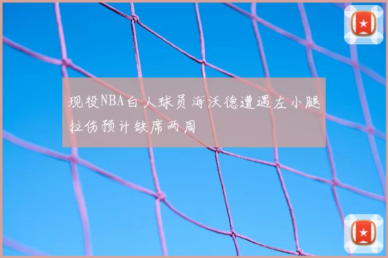 现役NBA白人球员海沃德遭遇左小腿拉伤预计缺席两周